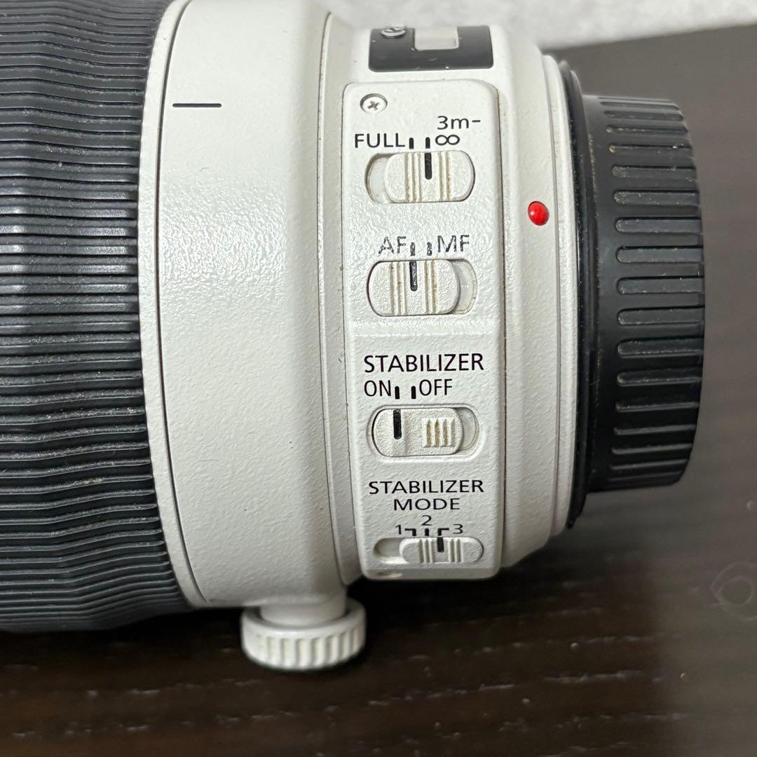 Canon 100-400mm ズームレンズ