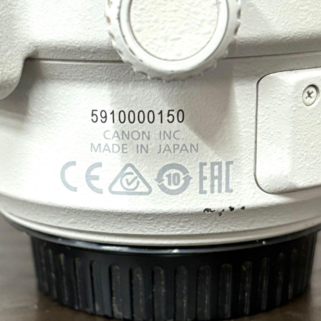 Canon 100-400mm ズームレンズ