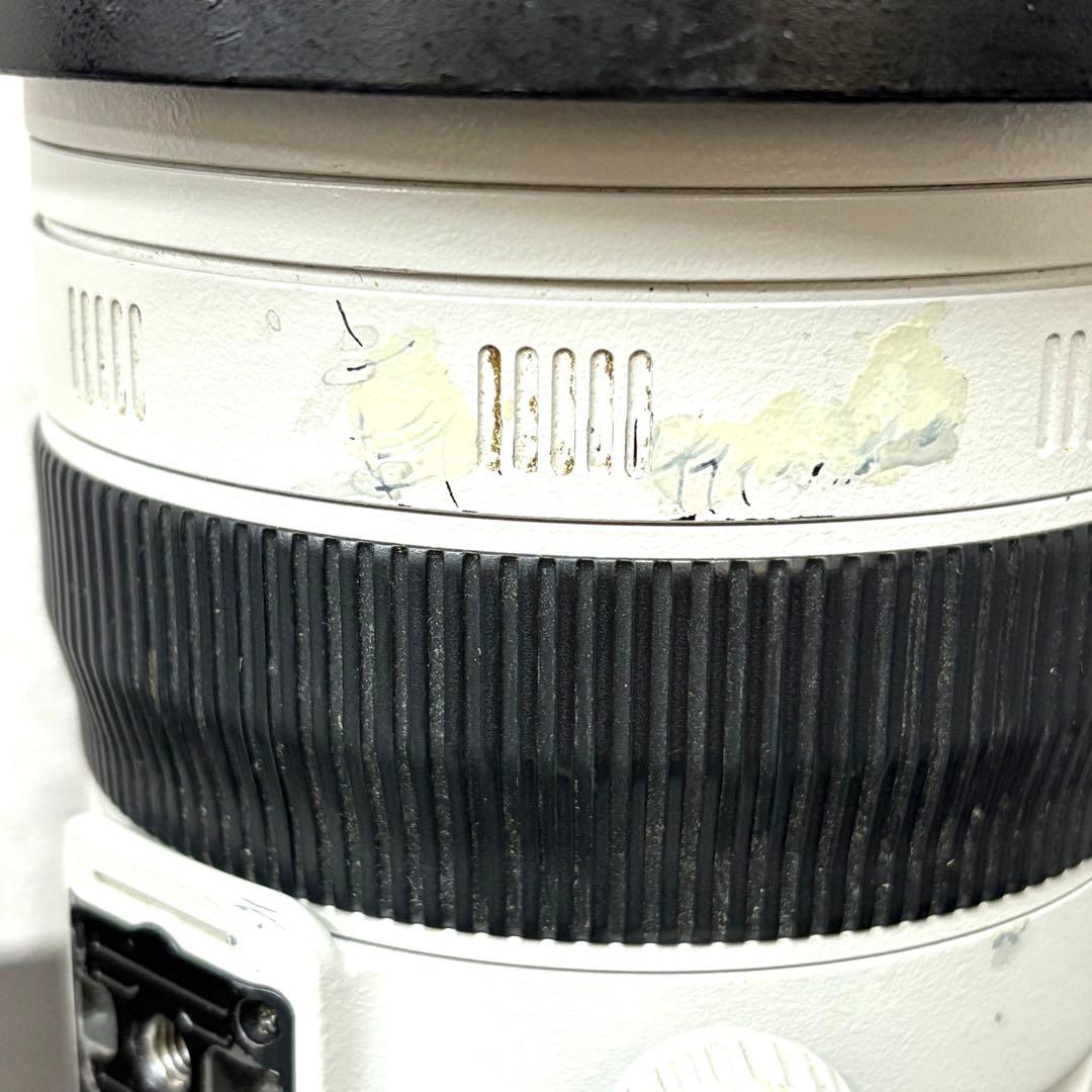 Canon 100-400mm ズームレンズ