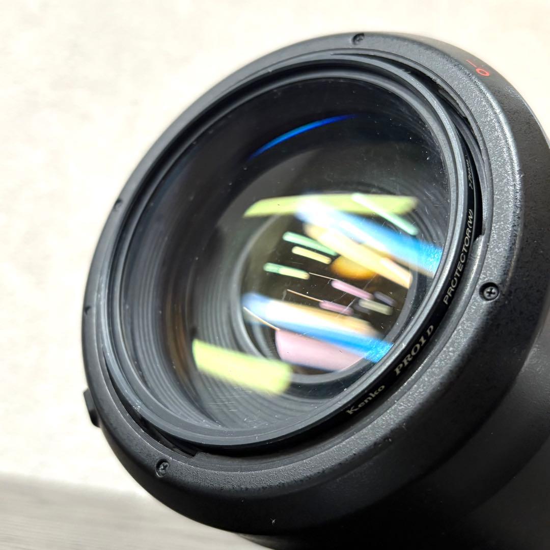 Canon 100-400mm ズームレンズ