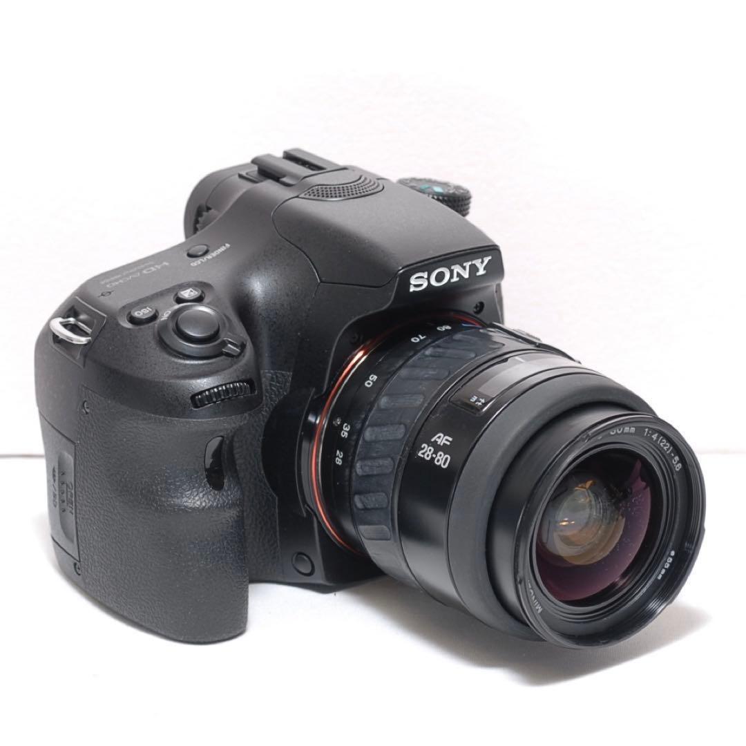 ✨自撮りも可能✨SONY α65✨ダブルレンズ✨初心者におすすめ✨ソニー