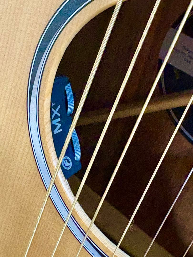 Martin SC-10E-01 エレアコギター　マーチンハードケース付
