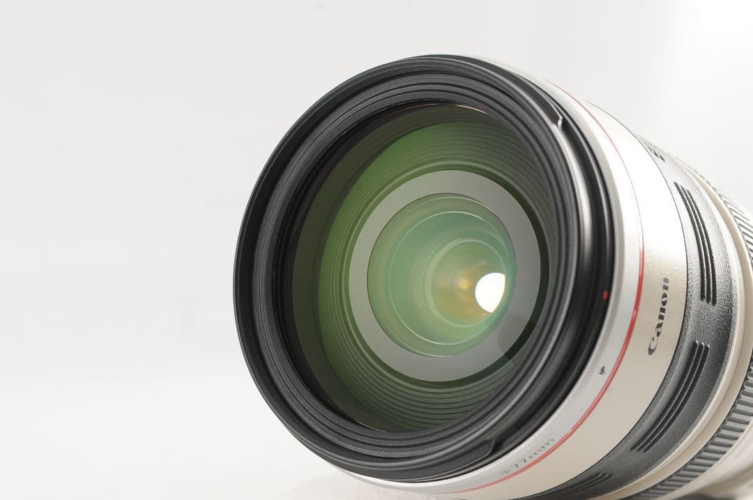 Canon EF28-300mm F3.5-5.6L IS USM【元箱付き】