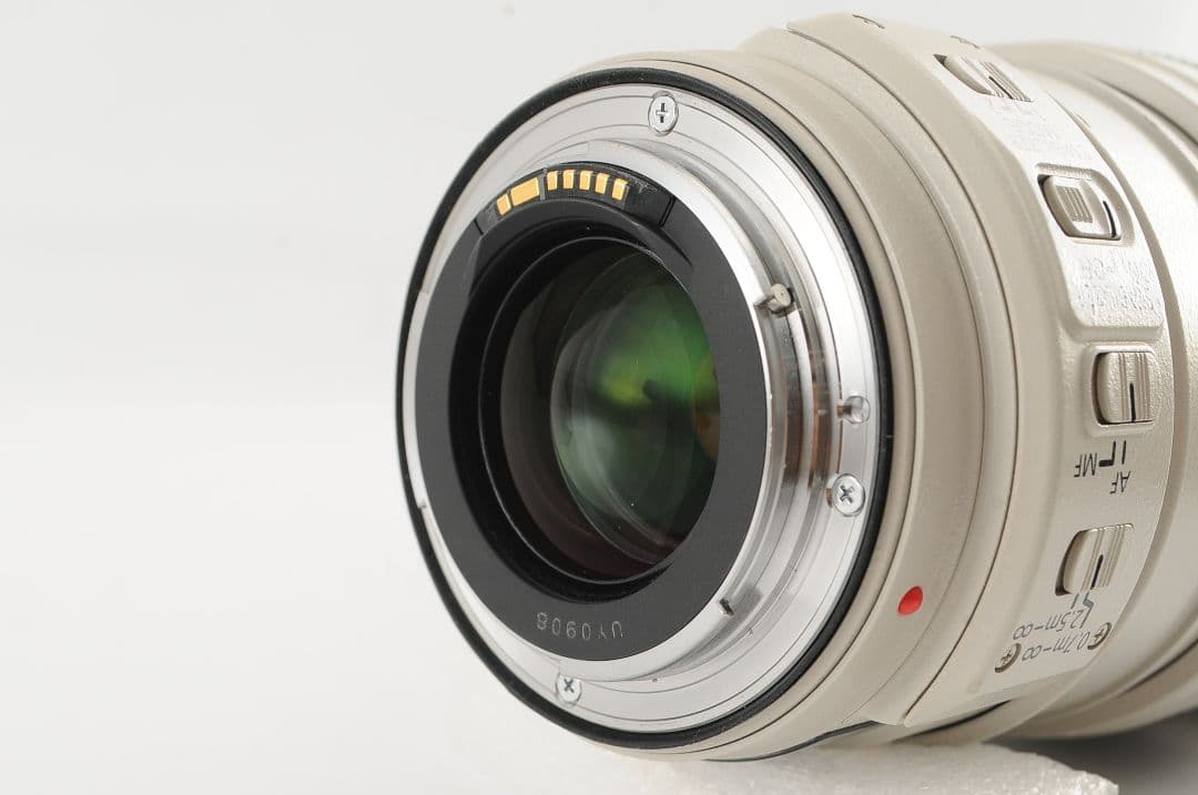 Canon EF28-300mm F3.5-5.6L IS USM【元箱付き】
