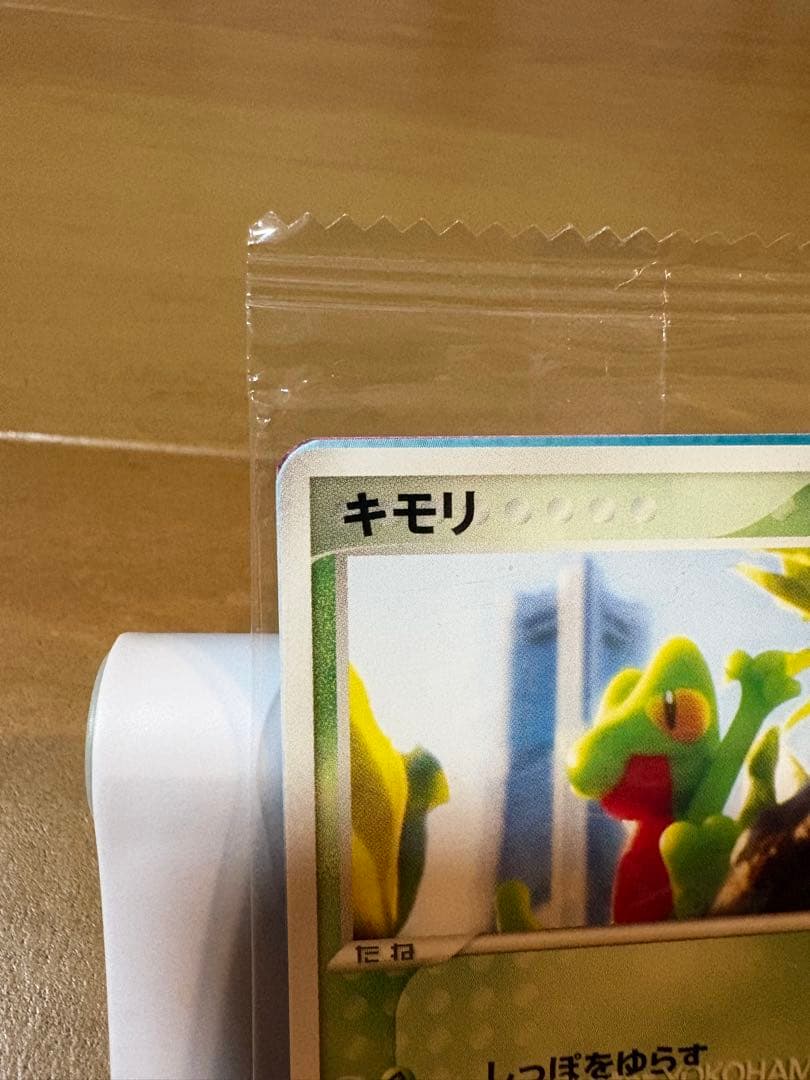 ポケモンカード　キモリ ポケモンセンターヨコハマプロモカード 037/PCG-P