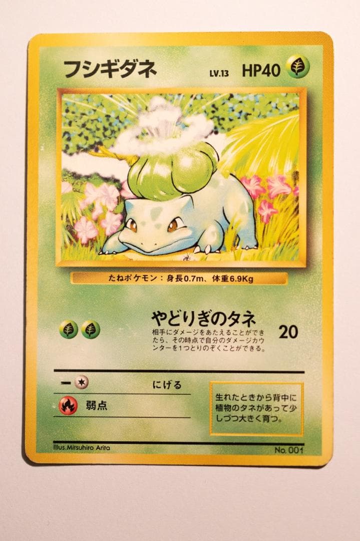 旧裏　初版　フシギダネ フシギソウ フシギバナ 　マーク無しセット