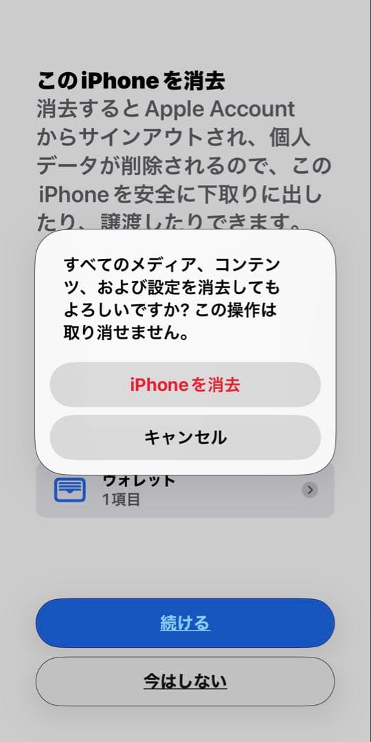 iPhone 15 Pro 256GB ブラックチタニウム