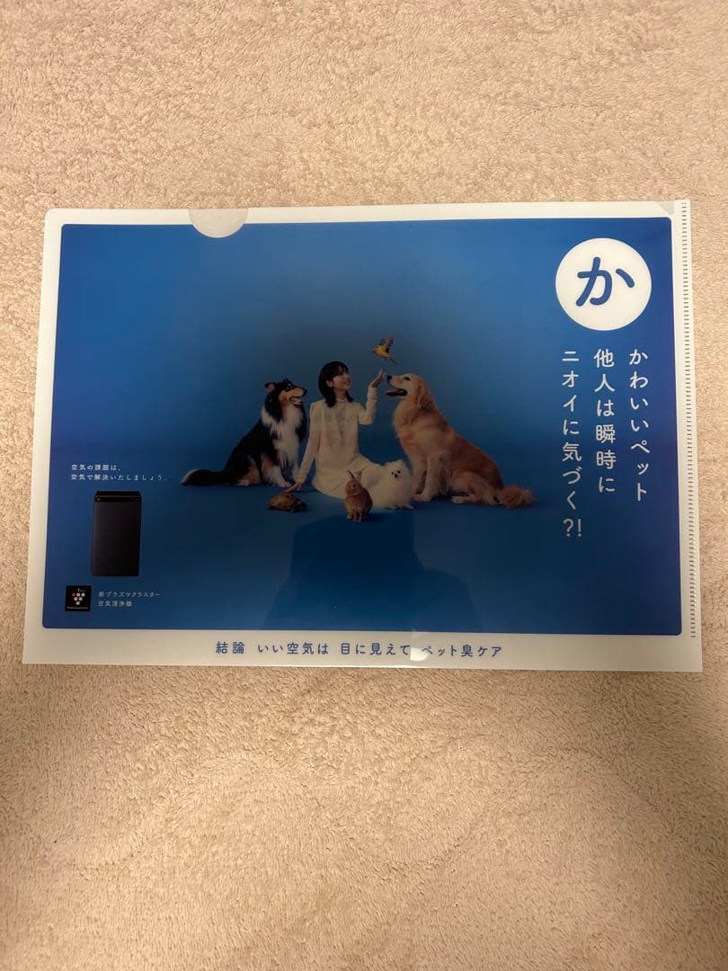 激レア！非売品、フルコンプ　浜辺美波　クリアファイル　くうきのかだい　8枚