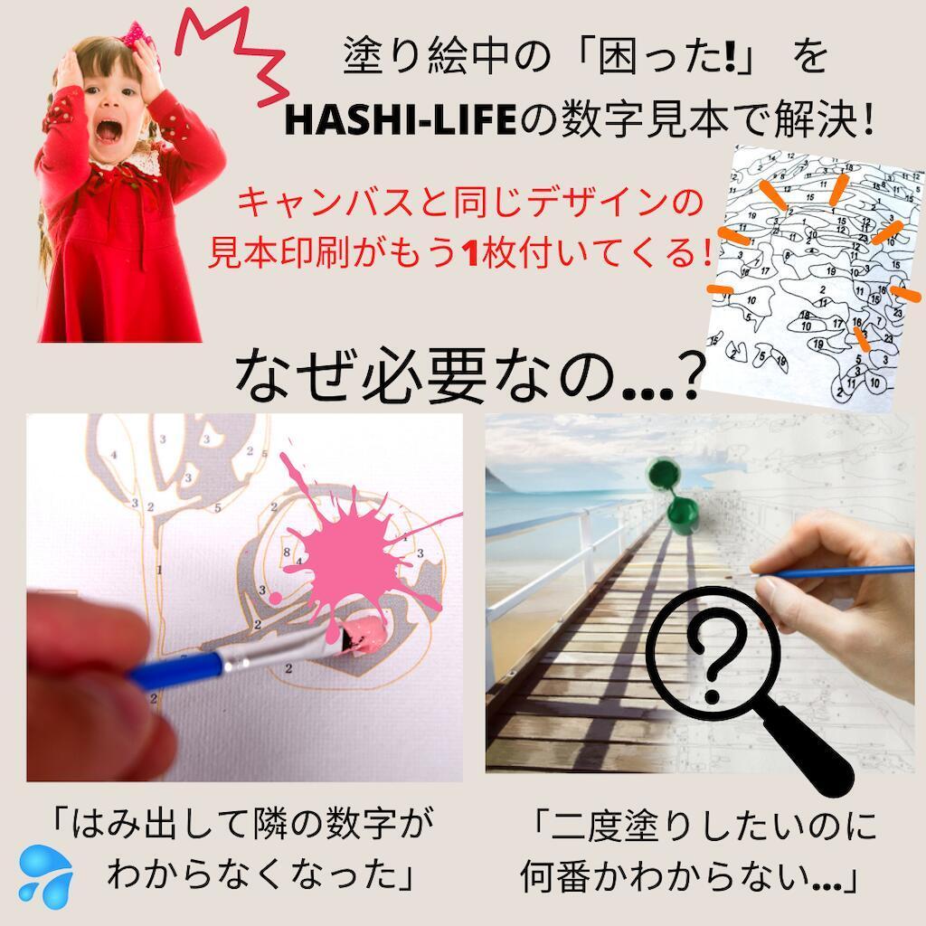 パリの花屋＋青と白のマーガレット２点専用ページ