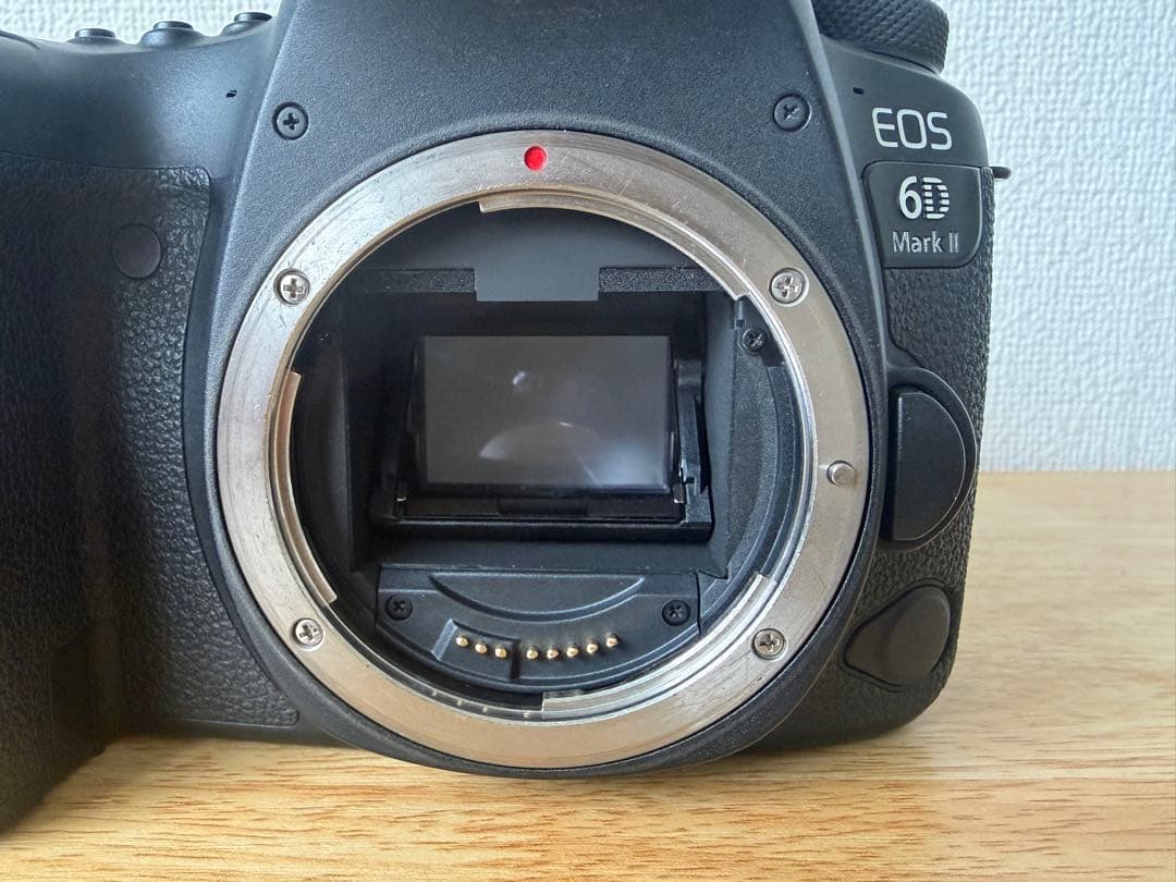 Canon EOS 6D Mark II 本体+ 50mm F1.8単焦点レンズ