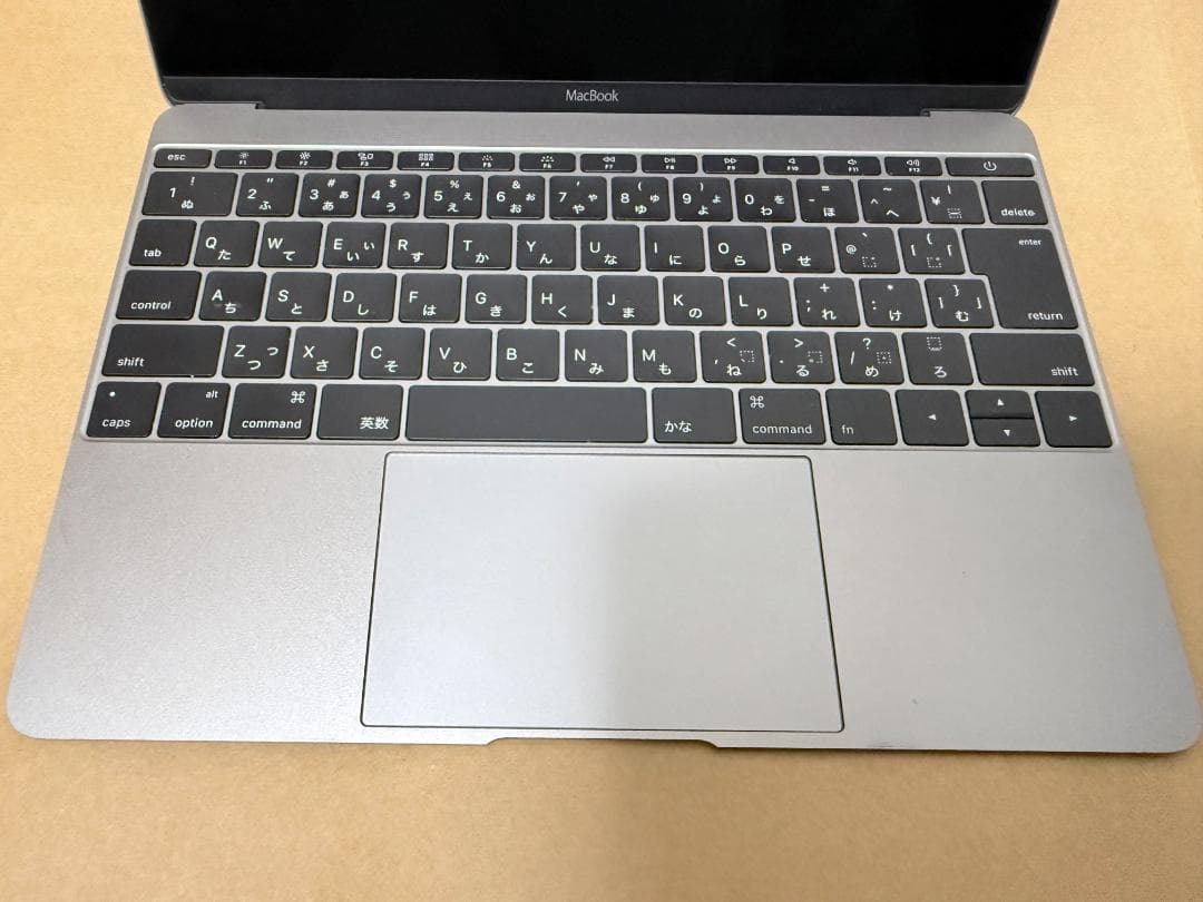 MacBook 12インチ Early 2015 シルバー 8GB/256GB