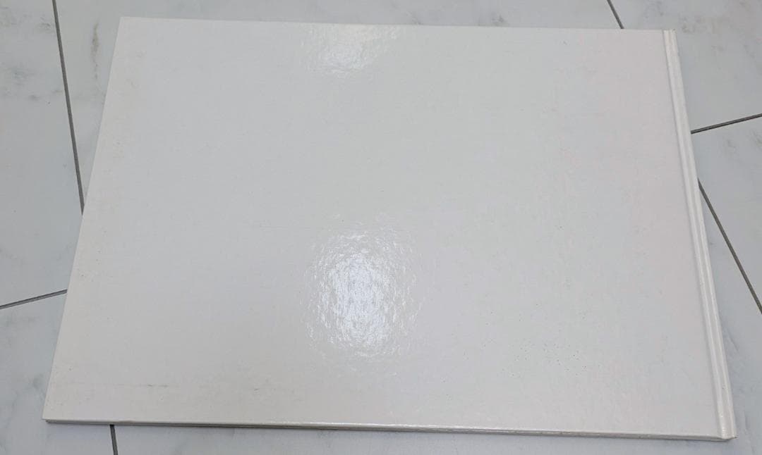 COMPLEX【ROMANTIC EXTRA 東京ドーム】限定パンフレットほか