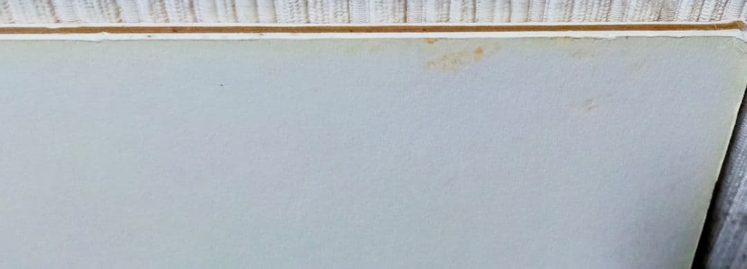 マリーローランサン　母と子 リトグラフ