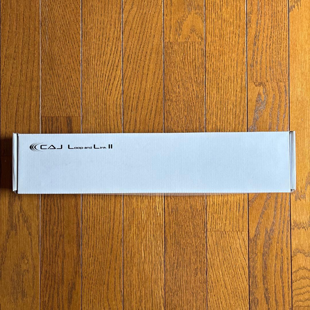 ギター CAJ Loop and Link II