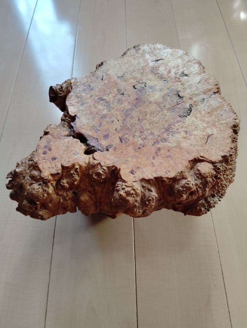 [天然木こぶ☆座卓/花台/盆栽台/瓶台/飾り台]