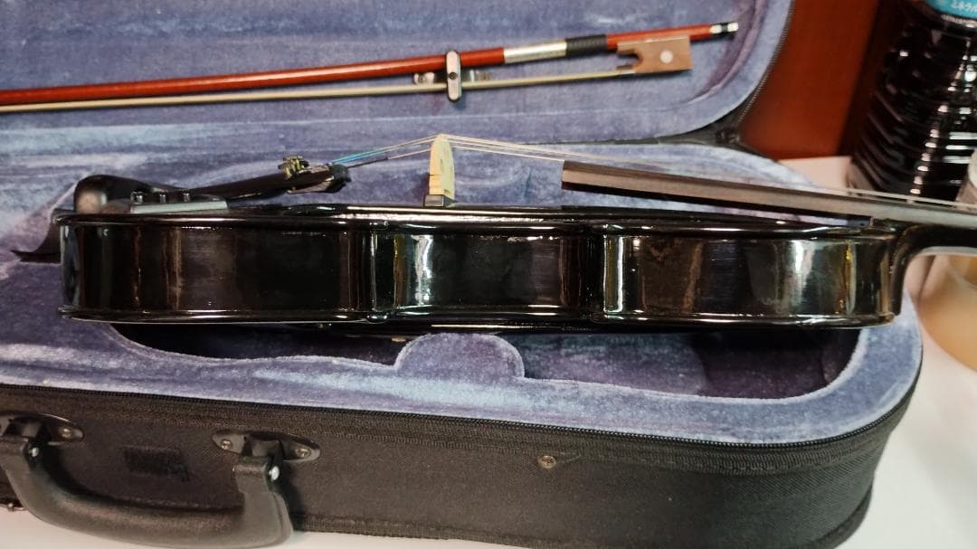 Carlo Giordano エレキバイオリン EV-202 ブラック