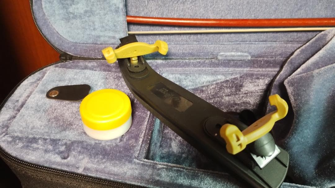 Carlo Giordano エレキバイオリン EV-202 ブラック