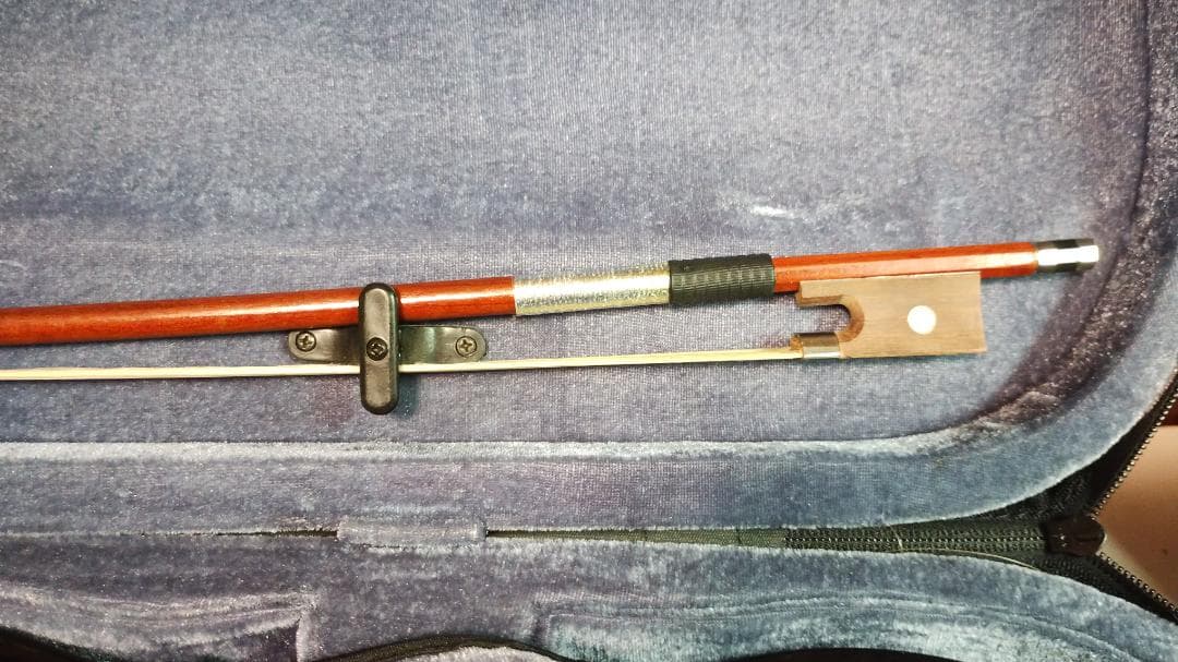 Carlo Giordano エレキバイオリン EV-202 ブラック