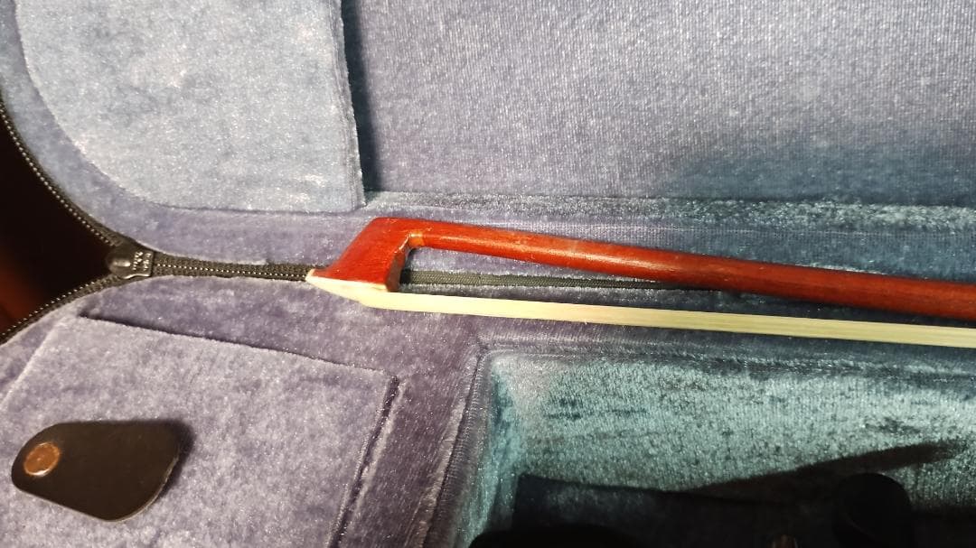 Carlo Giordano エレキバイオリン EV-202 ブラック