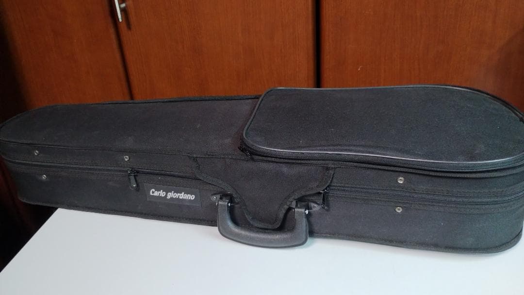 Carlo Giordano エレキバイオリン EV-202 ブラック