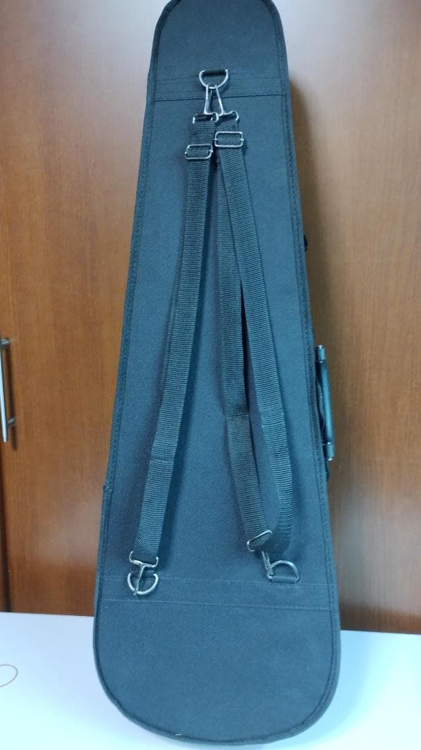 Carlo Giordano エレキバイオリン EV-202 ブラック