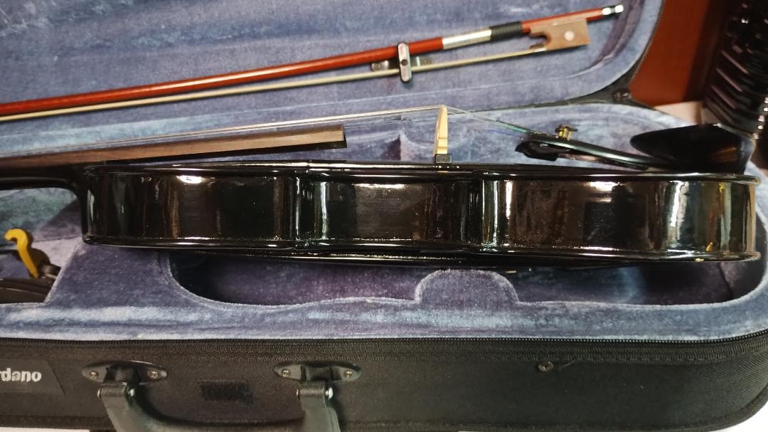 Carlo Giordano エレキバイオリン EV-202 ブラック