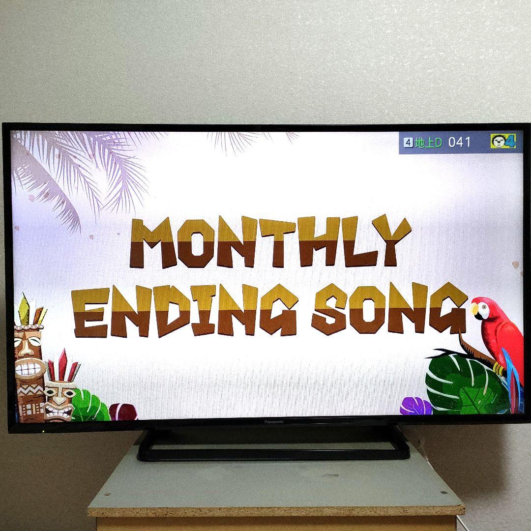 ❷Panasonic[2017年製品]TH-49D300