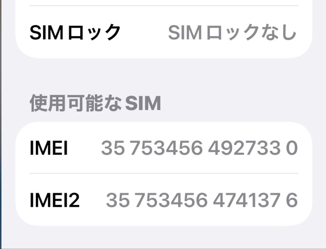 TAKUApple iPhone15Plus 128G ブルー　本体