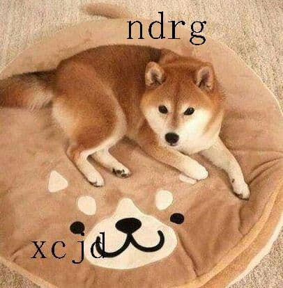 犬の巣柴犬ベッドクッション寝袋ペット暖」かい犬a&amp;(