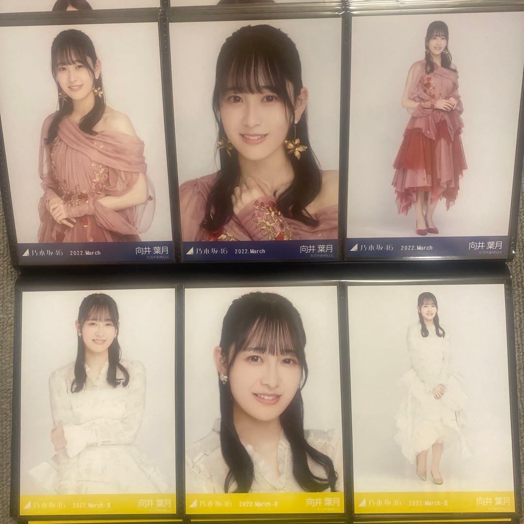 乃木坂46 紅白衣装2021 生写真フルコンプ