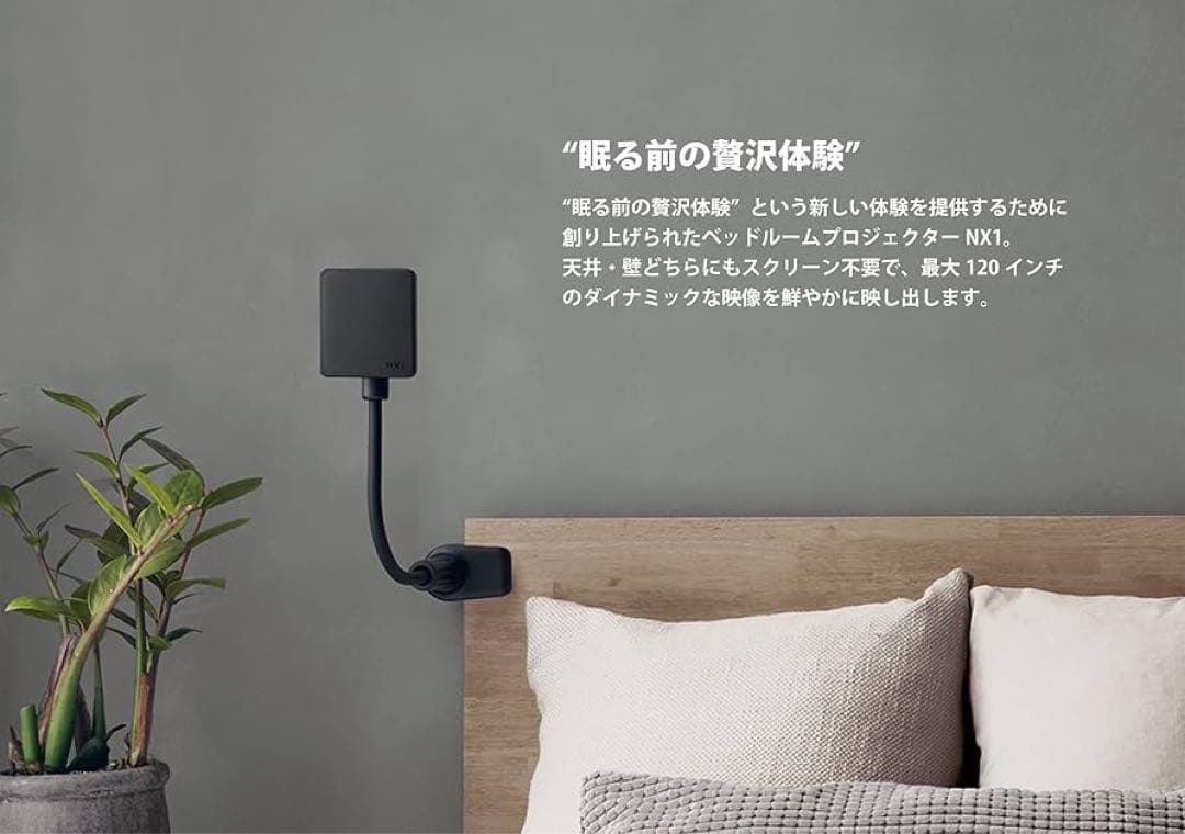 Nextorage NX1 プロジェクター本体