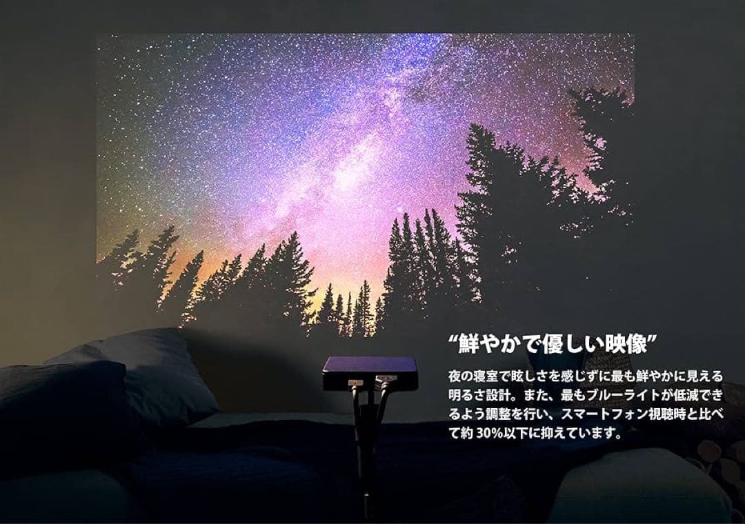 Nextorage NX1 プロジェクター本体
