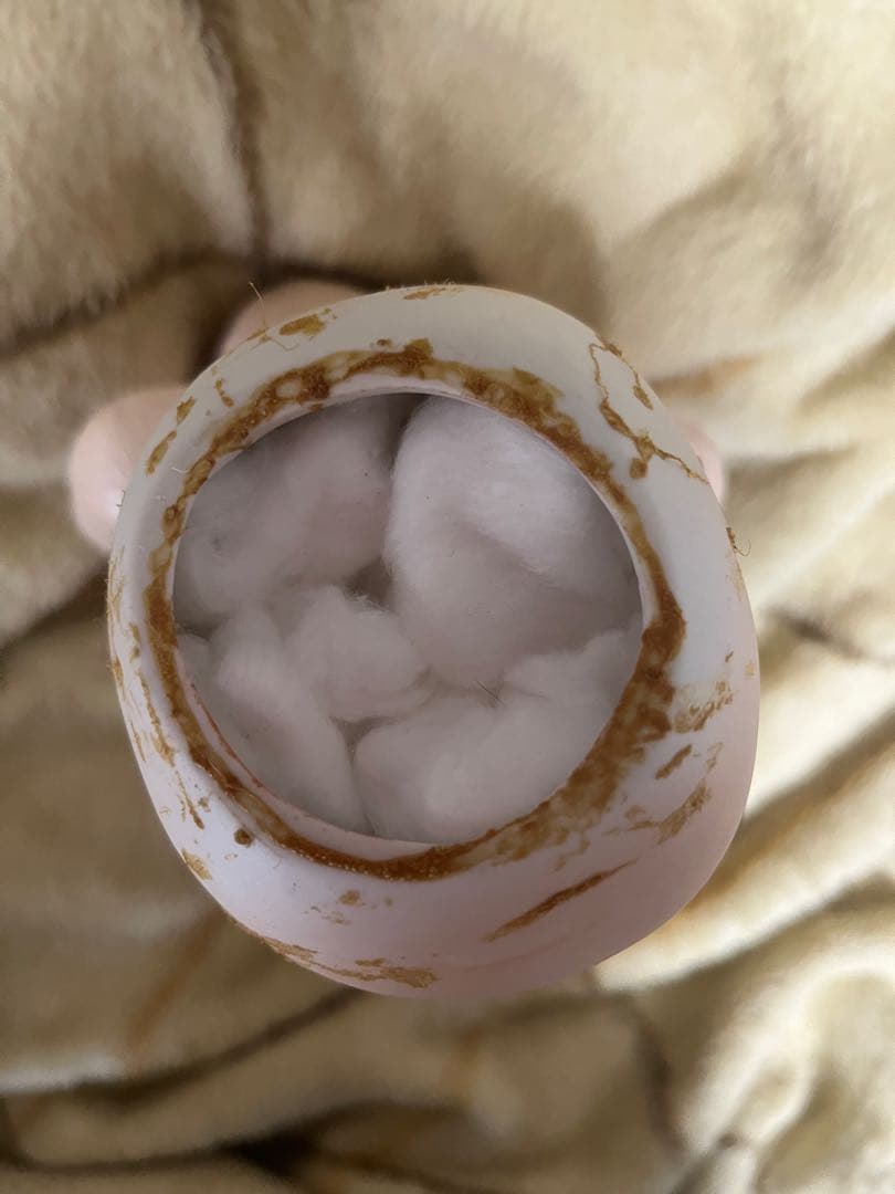 ビスクドール　リプロ　ジュモー？