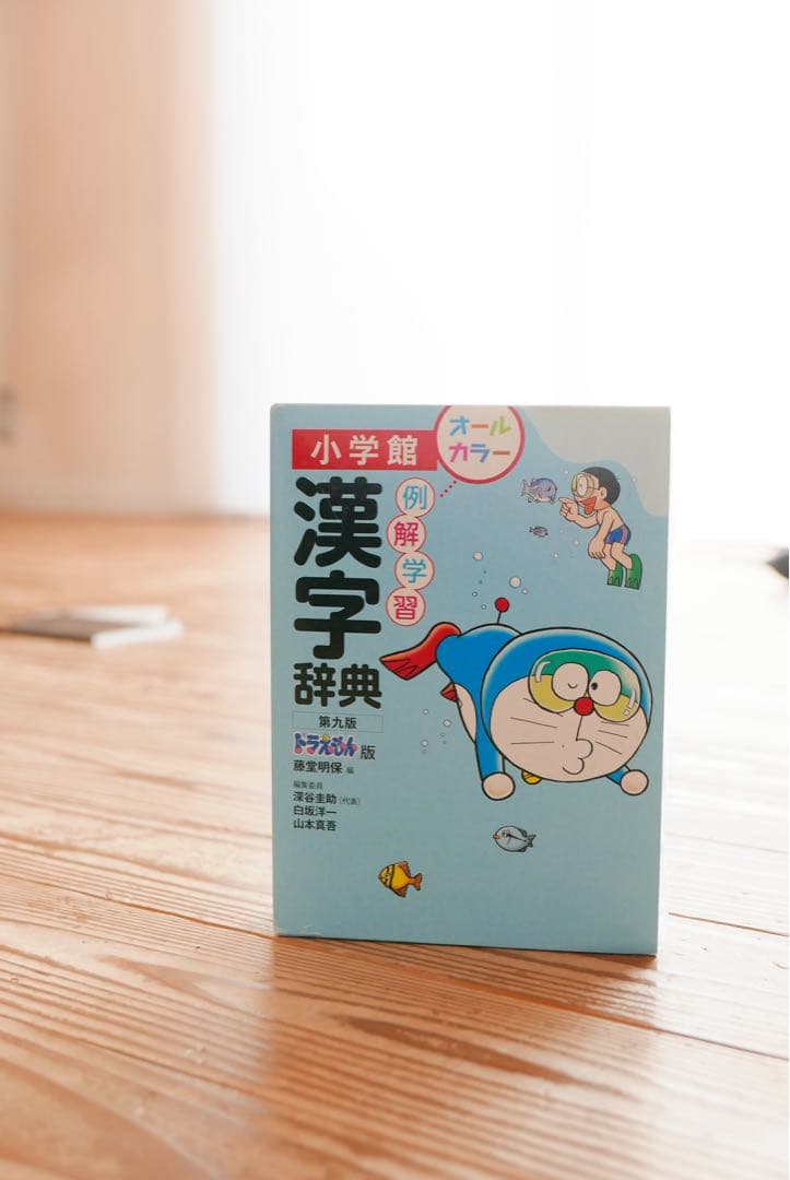 Leica D-LUX カメラType109 ライカ