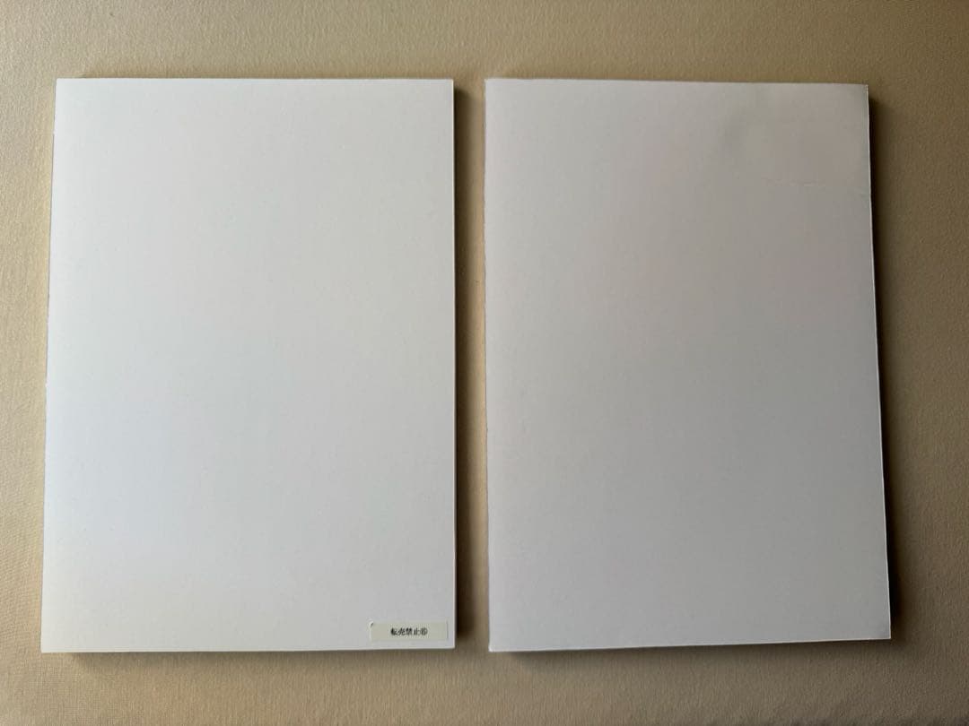 x*x様 岩本蓮加 写真集サインパネル2点