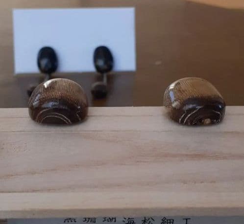 200.世界にひとつだけ 青珊瑚(レインボーコーラル)のイヤリング 希少品