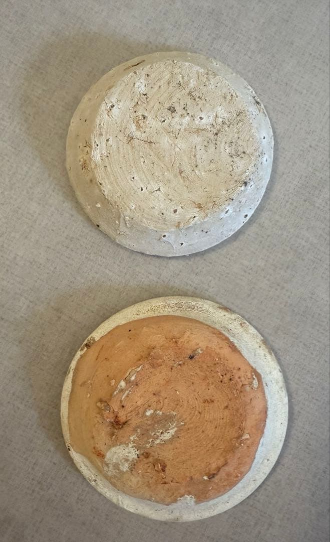 陶器　鎌倉時代　日本　アンティーク　小皿　2枚セット　山茶　古陶器