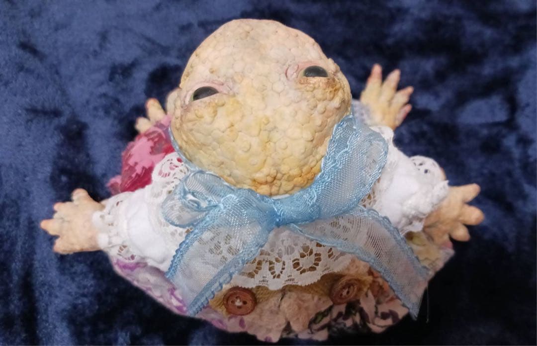 【新品】マキシム様の作品 カエルと木箱セット