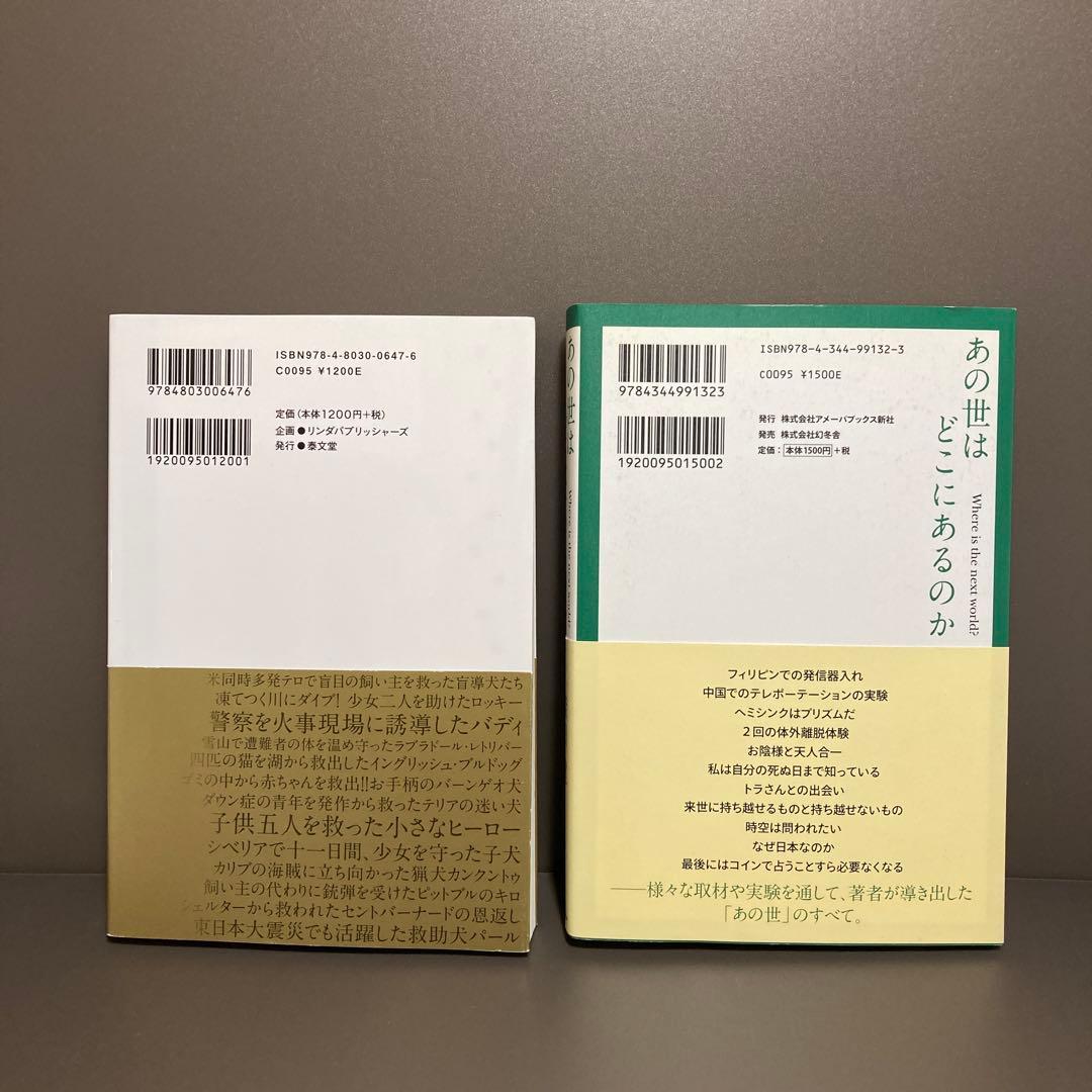 【超レア】【未使用】昭和レトロで北欧風！ 中鉢 長皿 2点セット アンティーク
