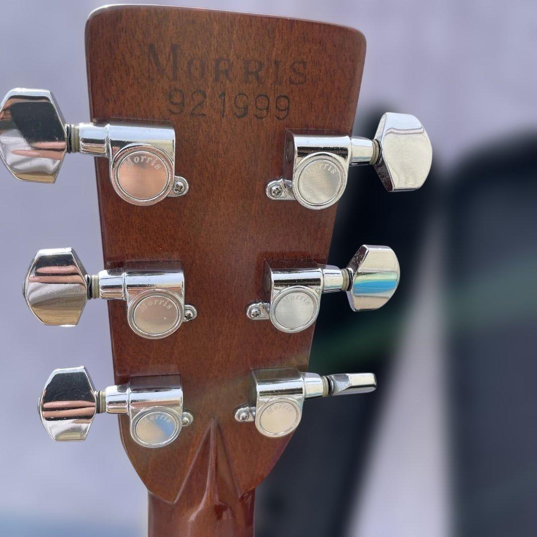 後期型！Morris モーリス　TF W-50 バックハカランダ3p かなり綺麗