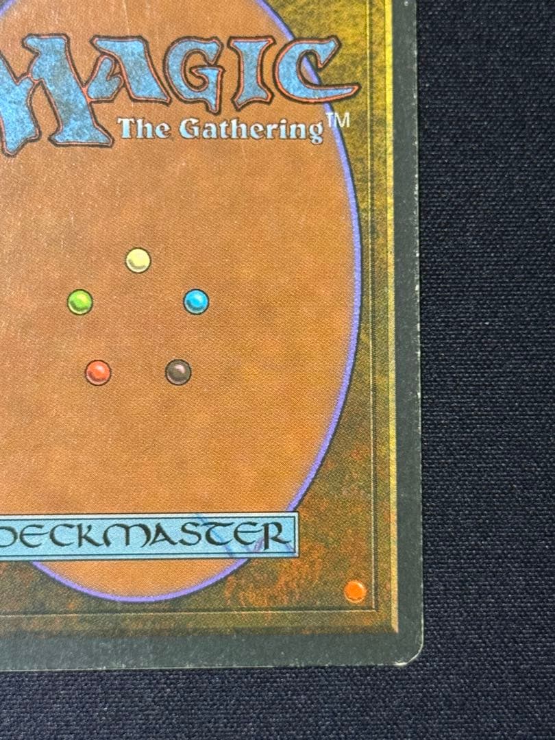 MTG Tropical  フランス語 黒枠 FBB インクド①