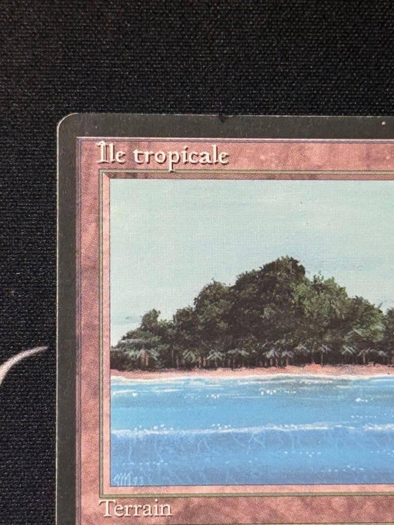 MTG Tropical  フランス語 黒枠 FBB インクド①