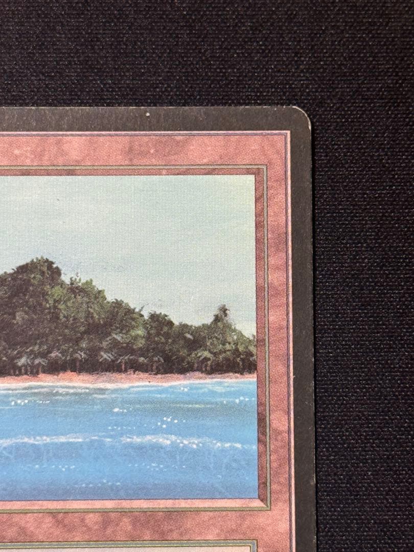 MTG Tropical  フランス語 黒枠 FBB インクド①