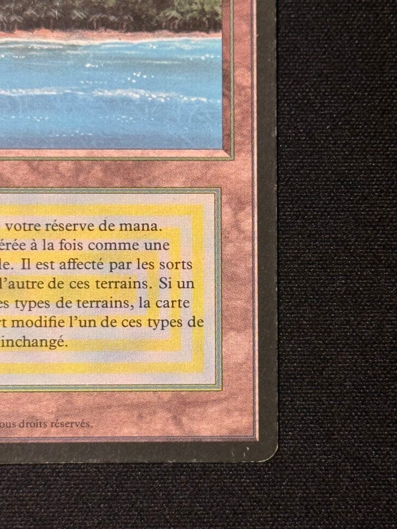MTG Tropical  フランス語 黒枠 FBB インクド①