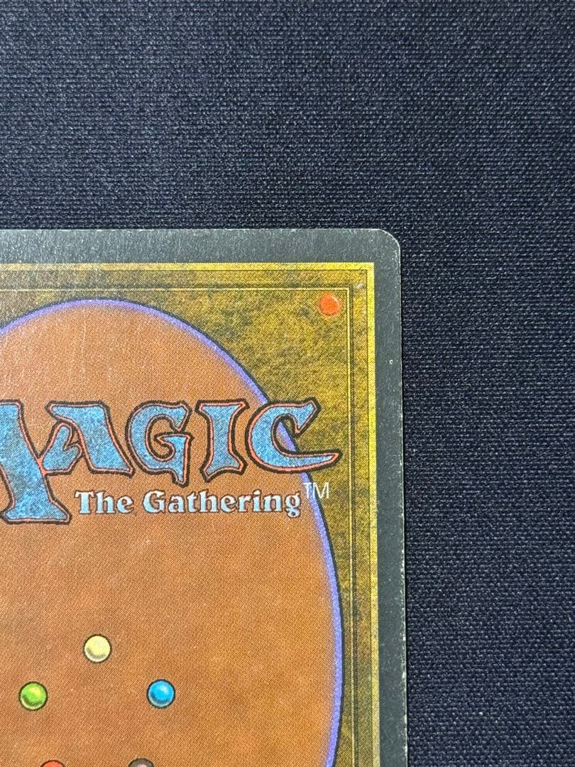 MTG Tropical  フランス語 黒枠 FBB インクド①