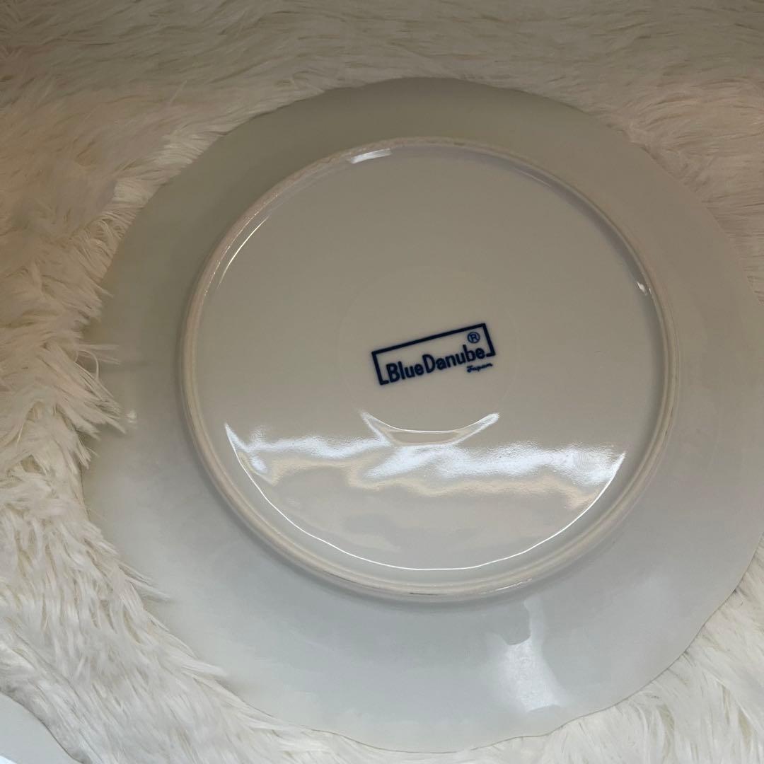 ブルーダニューブ 22cmプレート 5枚セット 中皿 洋食器 花柄 ディナー皿