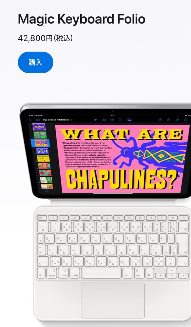 Apple iPad 本体 ブルー フルセット