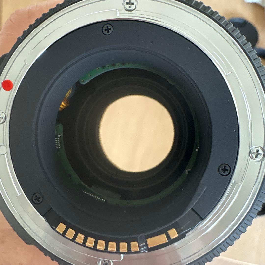 キャノン用SIGMA 17-50mm F2.8 EX DC OS レンズ