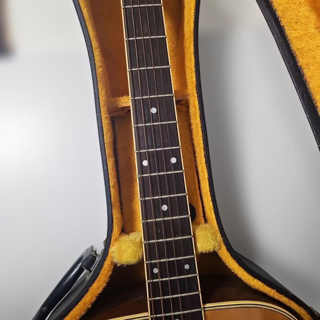 Morris　モーリス MD-505日本製