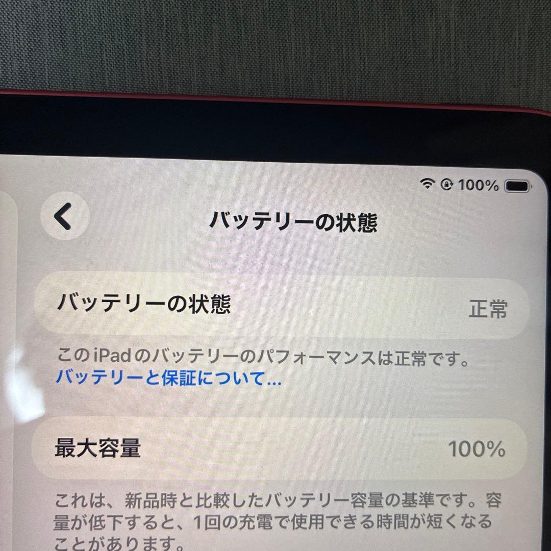 Apple iPad (A16) 本体 256gb 箱付き